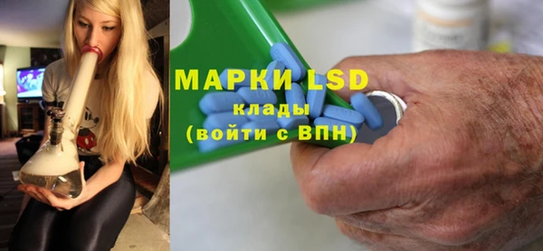 прущие грибы Белокуриха