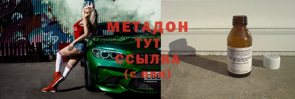прущие грибы Белокуриха