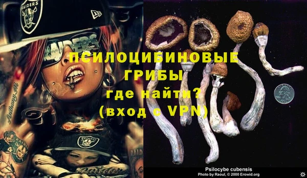 марки lsd Беломорск