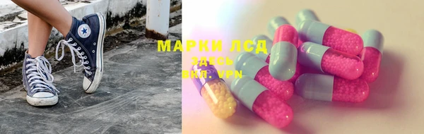 прущие грибы Белокуриха