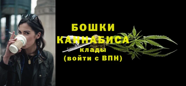 прущие грибы Белокуриха