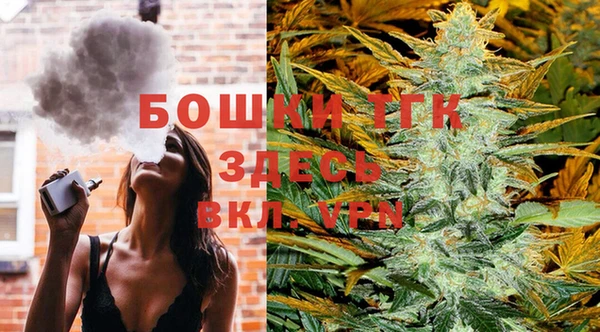 мескалин Богородицк