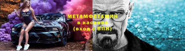 прущие грибы Белокуриха